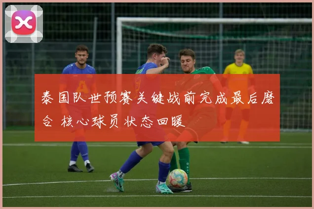 泰国队世预赛关键战前完成最后磨合 核心球员状态回暖