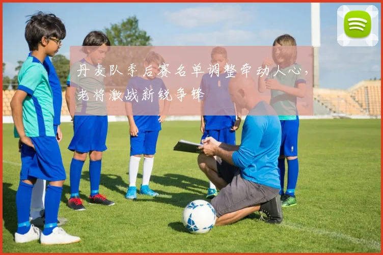 丹麦队季后赛名单调整牵动人心，老将激战新锐争锋