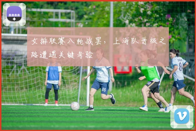 女排联赛八轮战罢，上海队晋级之路遭遇关键考验