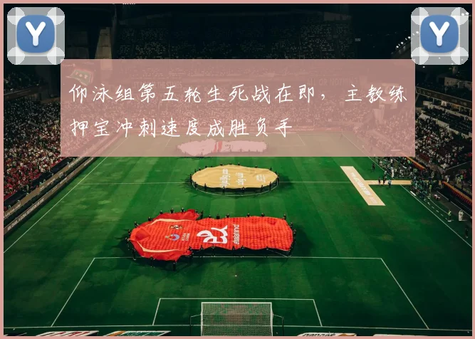 仰泳组第五轮生死战在即，主教练押宝冲刺速度成胜负手