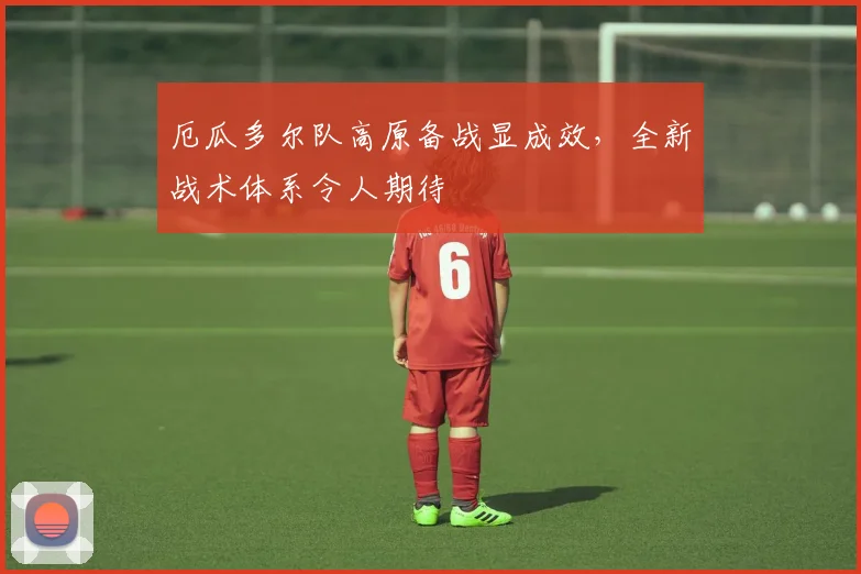 厄瓜多尔队高原备战显成效，全新战术体系令人期待